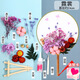 耀好扇子DIY團扇手工制作材料包永生花干花手工活動(dòng)教師節手工禮物成人工藝品自己做畢業(yè)禮物建軍節 DIY材料包-霓裳