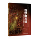 數(shù)學(xué)魔術(shù)師：84個(gè)神奇的魔術(shù)戲法