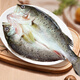 【JD京鮮配送】海鱸魚(yú)新鮮冷凍鮮活開(kāi)背深海魚(yú)七星魚(yú)海魚(yú)海鮮水產(chǎn)烤魚(yú) 海鱸魚(yú)400-450g/條【3條裝】