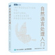 自然語言處理入門 Python/Java雙代碼實(shí)現(xiàn)(圖靈出品) deepseek教程