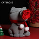 Cat&Rose永生花貓咪禮盒生日禮物送女友閨蜜七夕情人節(jié)表白玫瑰花真花擺件