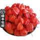 辰實(shí)【順豐】東北新鮮紅姑娘果 紅菇娘 紅皮燈籠果皮 苦姑娘 1斤紅姑娘果