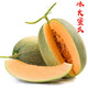 冰火蜜新疆特產(chǎn)哈密瓜西州蜜甜瓜 吐魯番至愛火焰蜜瓜當(dāng)季生鮮新鮮水果 冰火密瓜王（2個(gè)）/7-8斤裝 1箱裝