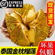 順豐現貨泰國金枕榴蓮新鮮帶殼一整個(gè)當季進(jìn)口水果批發(fā)包郵 精品金枕榴蓮5-6斤吃貨裝