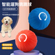 華元寵具（hoopet）狗狗玩具球耐咬自嗨解悶自動(dòng)逗狗神器寵物電動(dòng)小狗智能彈力遛狗球 【升級款3.0】更大更耐咬 藍色