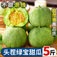 京橙美錦山東綠寶甜瓜新鮮水果當季時(shí)令小香瓜脆甜瓜綠寶石甜瓜 凈重4.5-5斤【約6-9個(gè)】實(shí)惠裝