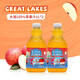 大湖 上好佳Great lakes100% 果汁飲料蘋果汁1L*2瓶