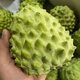 海南釋迦果 當季新鮮水果禮盒 番荔枝 佛頭釋迦果 孕婦水果釋迦果 3斤大果3-4個(gè)