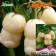 春枝韻人參果種子長(cháng)壽果種子觀(guān)賞食用水果種子蔬菜種子陽(yáng)臺盆栽四季營(yíng)養 利民-人參果約10粒