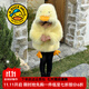 G.DUCKKIDS小黃鴨童裝女童外套冬季兒童毛毛衣男女寶寶小鴨子仿皮草冬裝棉服 圖片色 110 尺碼4~5歲【100-110cm】cm
