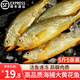 鮮漁翁黃花魚(yú) 500g一條 活凍大黃魚(yú) 生鮮魚(yú)類 海鮮水產(chǎn) 黃魚(yú)年貨禮品 大黃花魚(yú) 500g *5條（共2500g）