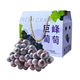 澤鮮達(dá)遼寧巨峰葡萄甜葡萄整串新鮮水果禮盒當(dāng)季酸甜葡萄整箱 2斤 裝