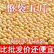 25年新黃豆東北發(fā)豆芽的黃豆散裝發(fā)黃豆芽專(zhuān)用豆黑龍江生豆大黃豆 高質(zhì)量黃豆(5斤)新豆 黑龍江