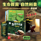 生命的故事 昆蟲百科全書蟲子書3-6-8歲三四五六歲繪本兒童昆蟲類書籍生命的誕生故事科普書科學(xué)與自然動物百科全書科普讀物生物世界幼兒園與高清實拍科普繪本紙上紀(jì)錄片小自然兒童繪本獲獎圖書（無窮小亮 ） 