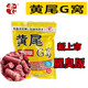 老G新上市黃尾G窩腥臭版600克主攻黃尾鯪魚(yú)黃尾湖庫窩料紅尾顆粒窩料 黃尾G窩(腥臭版)600克1包