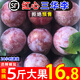 正宗紅心三華李時(shí)令新鮮銀妃李子早熟酸孕婦水果現摘整箱5斤應季 三華李-大果 5斤