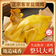 甘恒二廣東鹽焗雞整只正宗粵菜梅州客家特產鹽焗雞豉油雞熟食雞供港品質 古法鹽焗雞整只【真空包裝】 約500+g/只【偏大只-肉質偏嫩】