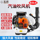 五閬機(jī)械背負(fù)式汽油吹風(fēng)機(jī)大功率吹雪機(jī)大棚吹雪機(jī)森林風(fēng)力滅火鼓風(fēng)機(jī) 二沖程背負(fù)EB865(5.8馬力)