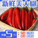 夢(mèng)茜兒新鮮美人椒 當季紅椒尖椒微辣可做剁椒醬泡椒現摘整箱 5斤