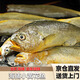 當(dāng)天海捕新鮮小黃花魚新鮮黃花魚燒烤生鮮黃魚深海小黃魚活魚速凍 一斤8-10條【1000克】