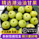 良知農(nóng)哥 【順豐】現(xiàn)摘新果 潮汕新鮮油甘果 牛甘果余甘果油柑果子滇橄欖 普通青油甘丨很酸榨汁推薦 2斤