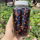 馬蜂泡酒金環(huán)虎頭3-10年老酒蜂黃蜂泡酒胡峰酒誘蜂水原材料 100只金環(huán)頭蜂(新蜂) 虎頭蜂，純釀白酒
