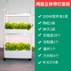 乾元益菜 陽(yáng)臺無(wú)土栽培蔬菜種植機水培設備家用種菜神器室內家庭種植箱 新款兩層立體水循環(huán)帶燈套裝 大