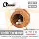 高能鸚鵡虎皮鸚鵡椰子殼鳥窩鸚鵡窩鳥巢窩鸚鵡繁殖箱珍珠椰殼鳥窩戶外草窩 【未打磨】大號(hào)14-15螺絲款
