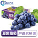諸氏橙品【順豐冷鏈】云南夏黑葡萄 無籽提子 黑加侖 當(dāng)季新鮮水果禮盒裝 精選一級(jí)果 4斤 串裝禮盒