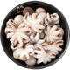 一蝦一世界鮮活冷凍小八爪魚 三去迷你章魚仔去齒去內(nèi)臟 火鍋燒烤年夜飯食材 無冰中號 2斤(凈重)  【免處理】