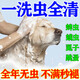 狗狗貓咪沐浴露清潔除臭洗澡驅(qū)蟲止癢除螨殺菌除臭護(hù)毛素持久留香 500ml 1瓶 貓咪沐浴露
