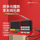 金正收音機老人FM隨身聽(tīng)播放器便攜充電插卡迷你插卡音響老年人 紅色 標配