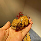 金絲楠木貔貅麒麟牛氣沖天瑞獸枯木老料擺件手把件招財動(dòng)物福氣雕 守財貔貅一只6.8*3.8*3.5