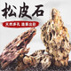 派樂特魚缸松皮石造景石假山天然小塊碎石多孔草缸成品原石片真石頭