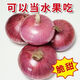 云南紫皮小洋蔥10斤圓蔥新鮮蔬菜農(nóng)家自種甜味可以生吃紫紅洋蔥9 9斤