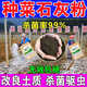 菜地專用生石灰粉種菜用土菌清殺蟲驅(qū)防蟲消毒清園殺菌劑改良土壤 10袋【買5 送5】土壤殺蟲殺菌