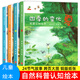 四季的變化春夏秋冬兒童科普認知繪本24節氣繪本這就是二十四節氣書(shū)籍故事繪本閱讀中國傳統文化 四季的變化（全4冊）