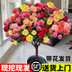 蘇瀝棒棒糖月季四季花卉盆栽庭院室外花園植物特大樹(shù)狀樹(shù)樁月季老樁 雙色樹(shù)樁月季直徑1-1.5公分（60cm左右高） 不含盆