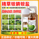 利爾利爾 奧秋 21.9%精草銨膦銨鹽可溶液劑非耕地雜草農(nóng)藥除草劑 100g