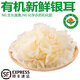 諸氏橙品【有機】鮮銀耳 精選白木耳雪耳 鮮活菌菇 銀耳蓮子羹獨立盒裝 （有機鮮銀耳）100g/盒*3盒