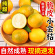 味果生廣西融安脆皮金桔應當季新鮮水果脆蜜冰糖小金桔金橘子整箱送禮 5斤特大果【約25-32個(gè)/斤】