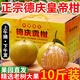 冠棠廣東德慶皇帝柑5斤10斤禮盒貢柑橘子新生鮮孕婦水果桔【JD/順豐】 德慶皇帝柑 10斤老樹(shù)精選大果