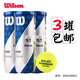 威爾勝（Wilson）專業(yè)比賽訓(xùn)練罐裝網(wǎng)球 WR8208802 上海大師賽款3罐