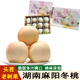 鑫果滋湖南麻陽(yáng)冬桃雪桃 懷化高山脆桃子新鮮水果蜜桃白桃 麻陽(yáng)冬桃 凈5斤（中果 單果約3兩）