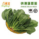 東升寧夏供港菠菜苗250g食材炒菜熬湯供港蔬菜廣州配送  火鍋食材 250g