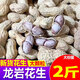 閩大郎龍巖水煮花生蒜香味1000g帶殼鹽咸曬干花生米福建特產(chǎn)酒菜鬼零食 蒜香味龍巖花生2斤