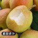 臻亦尚庫爾勒香梨新鮮現摘水果嫁接9斤當季梨子帶箱整箱香梨脆甜