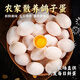 耕果妙河南濮陽(yáng)農家新鮮鴿子蛋20枚400g精品 源頭直發(fā) 整箱包郵