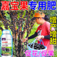 嘉寶果專(zhuān)用肥料3號肥樹(shù)葡萄催花結果顆粒肥促開(kāi)花果樹(shù)專(zhuān)用肥料 3瓶裝【2瓶?jì)r(jià)格】