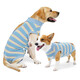 拉維佩特（LOVINGPET）寵物狗絕育手術(shù)服 大中小型犬絕育衣服狗狗術(shù)后服公狗母狗絕育服 淺藍(lán)色 XL 建議30-45斤